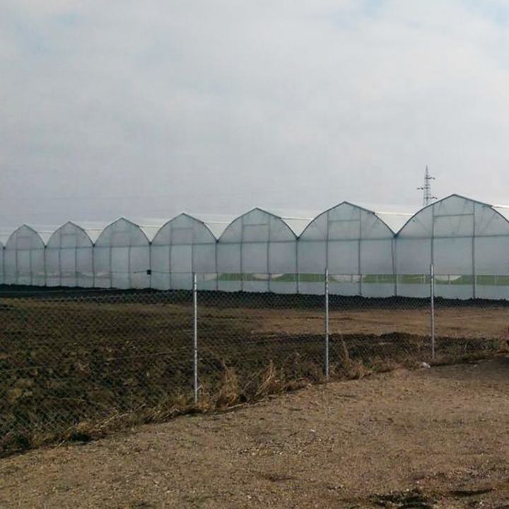 Gewachshaus Manufacturers Agricultural serre Green House Intelligent Film Serre Invernadero Multi-span Greenhouse