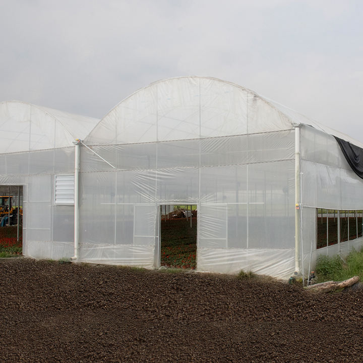 Greenhouse plastic protected cheap multispan green house structure multi span film greenhouses for agriculture Production Wholesale Operations