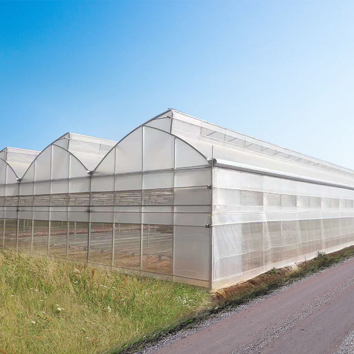 High Tunnel Best Agricultural Commercial Multi-span Multispan Plastic Film Greenhouse Green House Used For Sale