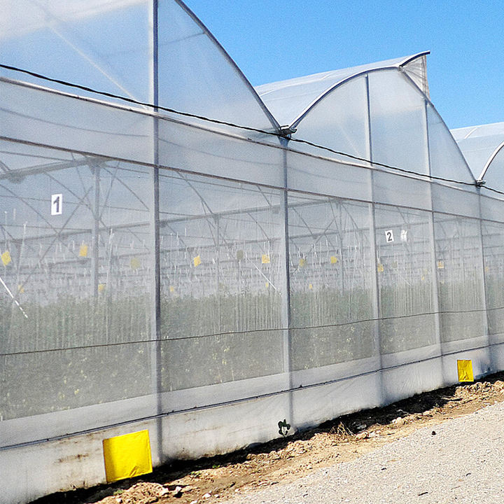 High Tunnel Best Agricultural Commercial Multi-span Multispan Plastic Film Greenhouse Green House Used For Sale