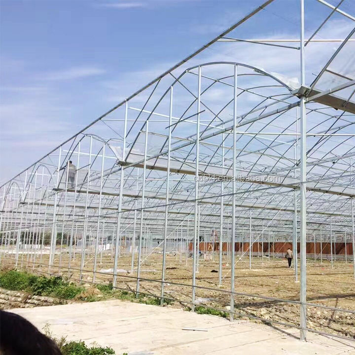 High Tunnel Best Agricultural Commercial Multi-span Multispan Plastic Film Greenhouse Green House Used For Sale