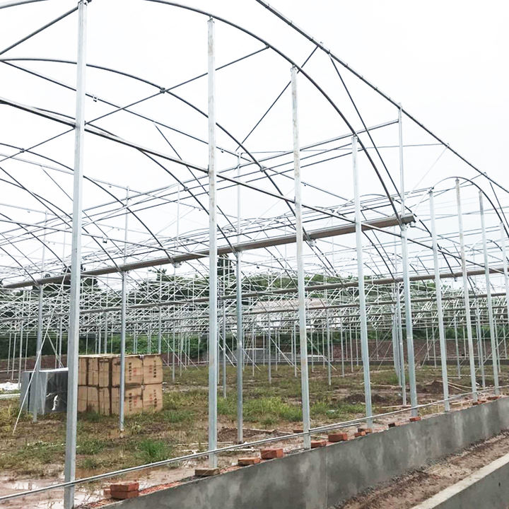 High Tunnel Best Agricultural Commercial Multi-span Multispan Plastic Film Greenhouse Green House Used For Sale