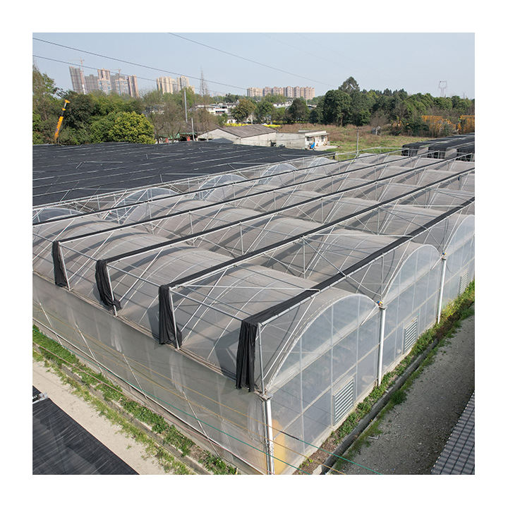 Hot Dip Galvanized Steel Automatic System Control Multi-span Greenhouses With Shading System Manufacturer and Supplier Solutions