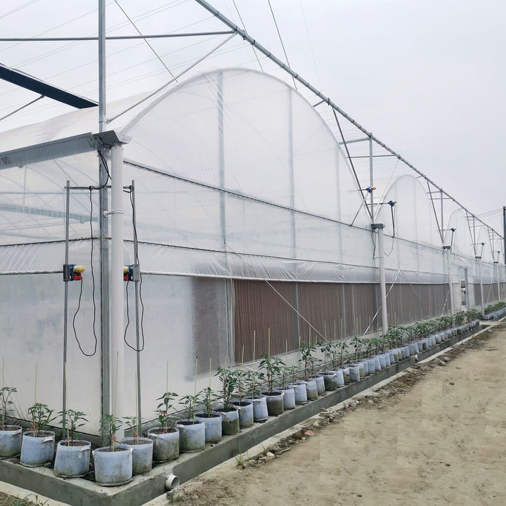 Hot Dip Galvanized Steel Automatic System Control Multi-span Greenhouses With Shading System Manufacturer and Supplier Solutions