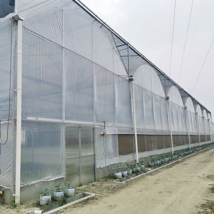Hot Dip Galvanized Steel Automatic System Control Multi-span Greenhouses With Shading System Manufacturer and Supplier Solutions