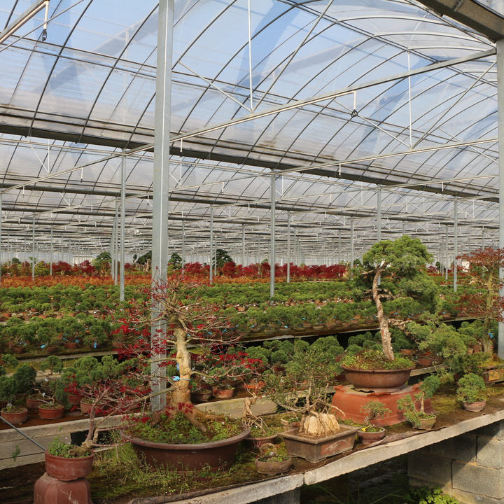 Hot Dip Galvanized Steel Automatic System Control Multi-span Greenhouses With Shading System Manufacturer and Supplier Solutions
