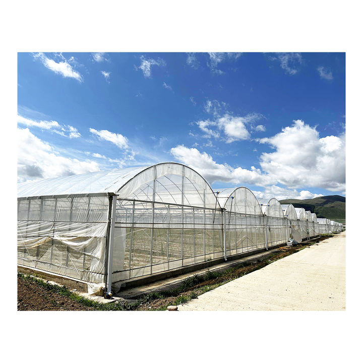 Hot dip galvanized steel pipe invernadero agricultural greenhouses used sale multispan greenhouse Manufacturing Services Solutions