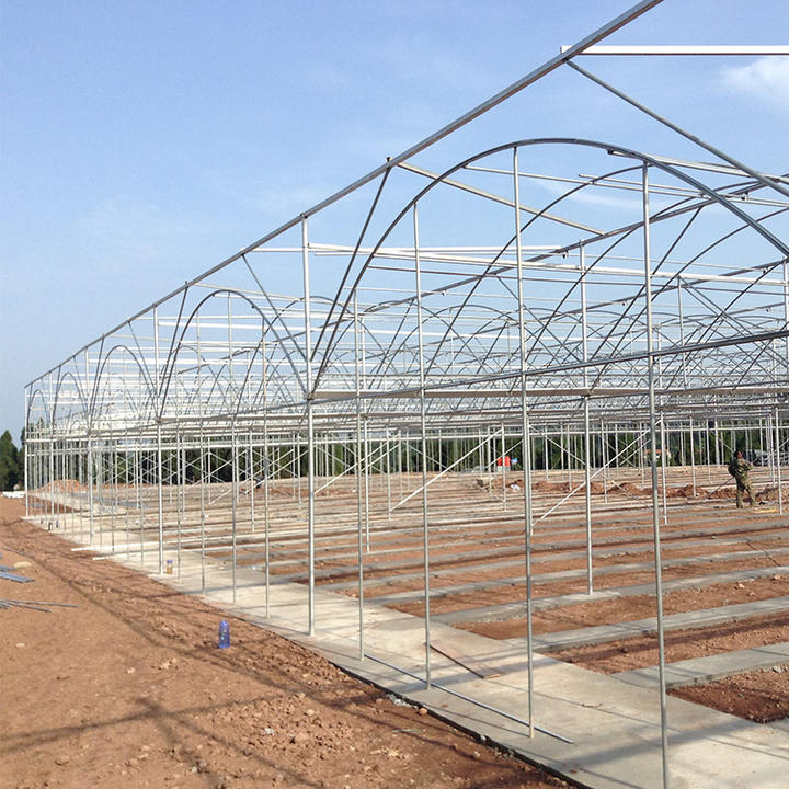 Hot dip galvanized steel pipe invernadero agricultural greenhouses used sale multispan greenhouse Manufacturing Services Solutions