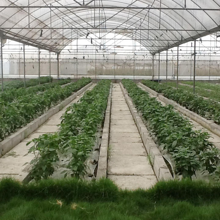 Hot dip galvanized steel pipe invernadero agricultural greenhouses used sale multispan greenhouse Manufacturing Services Solutions