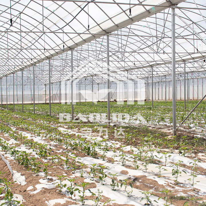 Hot dip galvanized steel pipe invernadero agricultural greenhouses used sale multispan greenhouse Manufacturing Services Solutions
