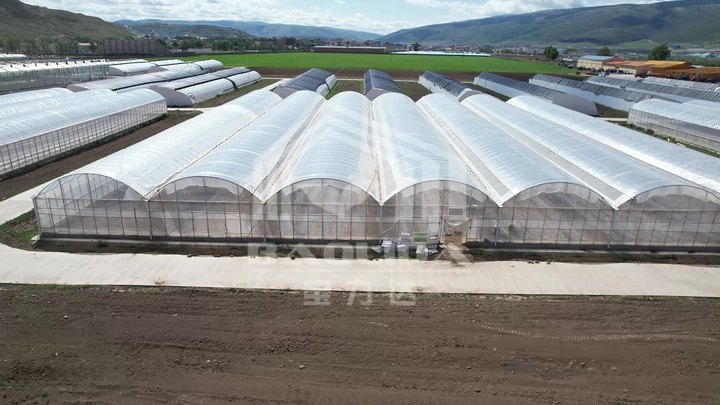 Hot dip galvanized steel vegetable planting multi span green house polytunnel multispan greenhouse construction Industrial Exporter Factory