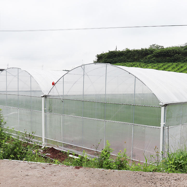 Hot dip galvanized steel vegetable planting multi span green house polytunnel multispan greenhouse construction Industrial Exporter Factory