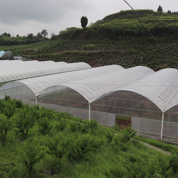 Hot dip galvanized steel vegetable planting multi span green house polytunnel multispan greenhouse construction Industrial Exporter Factory