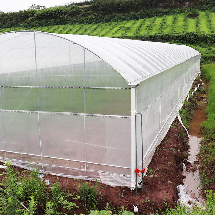 Hot dip galvanized steel vegetable planting multi span green house polytunnel multispan greenhouse construction Industrial Exporter Factory