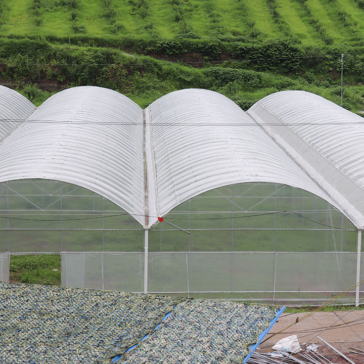 Hot dip galvanized steel vegetable planting multi span green house polytunnel multispan greenhouse construction Industrial Exporter Factory