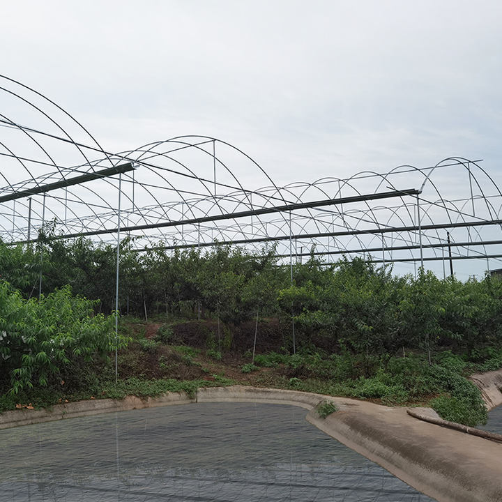 Hot dip galvanized steel vegetable planting multi span green house polytunnel multispan greenhouse construction Industrial Exporter Factory