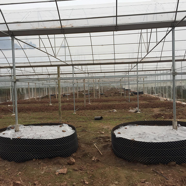 Hot galvanized steel pipe high tunnel hydroponics multispan greenhouse for agriculture farming Custom Manufacturing