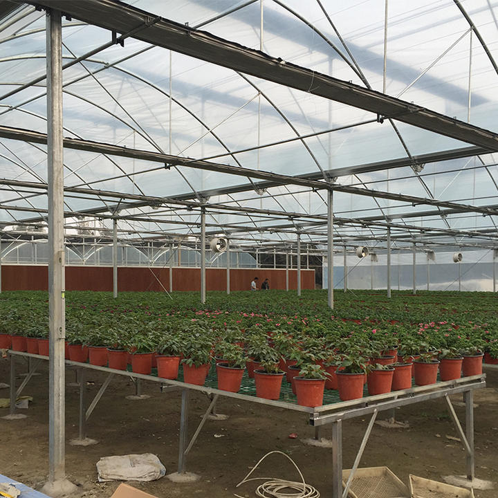 Hot galvanized steel pipe high tunnel hydroponics multispan greenhouse for agriculture farming Custom Manufacturing