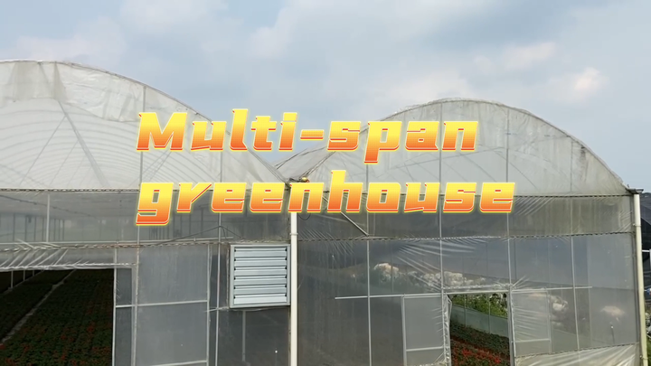 Hydroponic Greenhouse Multi-span Green House Agriculture Other Greenhouse Automatic Ventilation Tropical Greenhouse