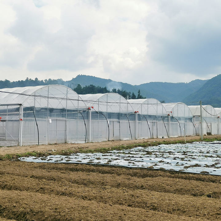 Hydroponic Greenhouse Multi-span Green House Agriculture Other Greenhouse Automatic Ventilation Tropical Greenhouse Manufacturing & Supply