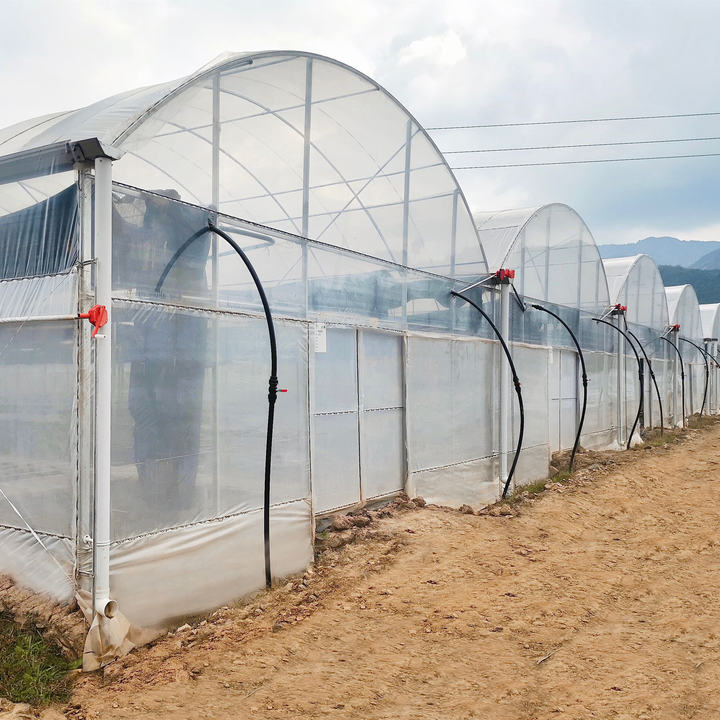 Hydroponic Greenhouse Multi-span Green House Agriculture Other Greenhouse Automatic Ventilation Tropical Greenhouse Manufacturing & Supply