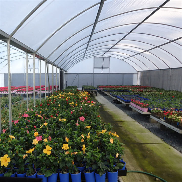 Hydroponic Greenhouse Multi-span Green House Agriculture Other Greenhouse Automatic Ventilation Tropical Greenhouse Manufacturing & Supply
