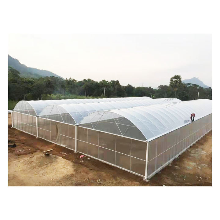 Hydroponic Growing Systems Greenhouse Plastic Film Low Cost Greenhouse Agriculture Plastic Greenhouse