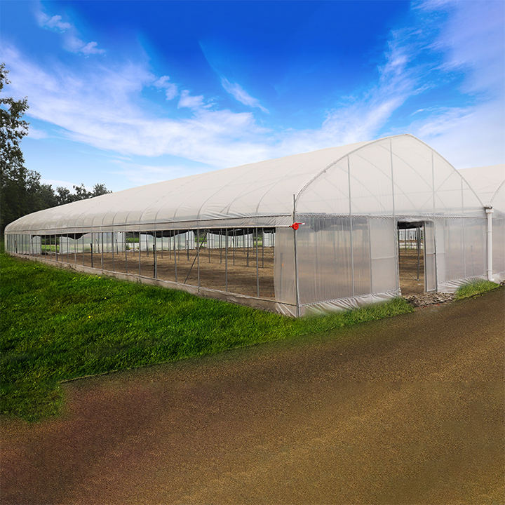 Hydroponic Growing Systems Greenhouse Plastic Film Low Cost Greenhouse Agriculture Plastic Greenhouse