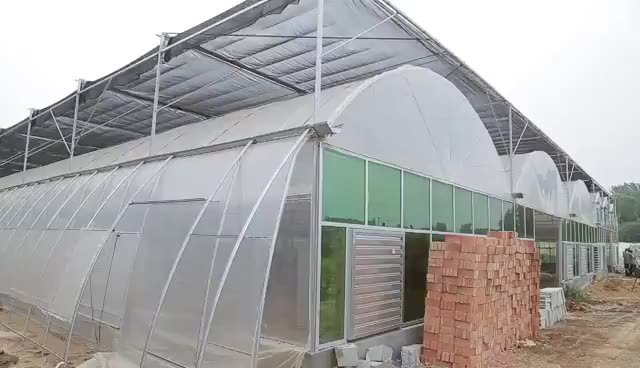 Inner shading system green houses agriculture commercial multi span greenhouse for high wind