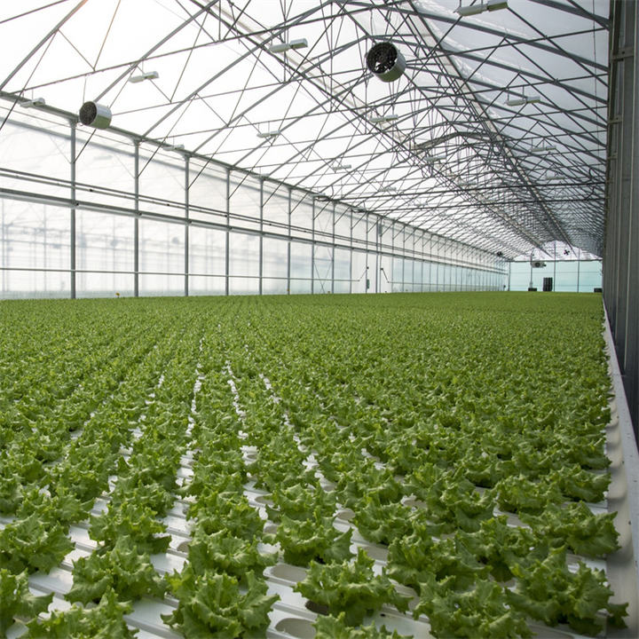 Inner shading system green houses agriculture commercial multi span greenhouse for high wind