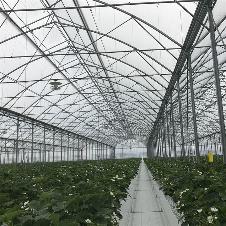 Inner shading system green houses agriculture commercial multi span greenhouse for high wind