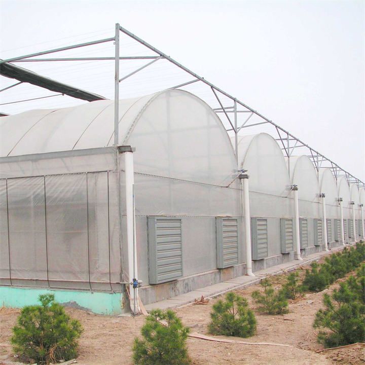 Inner shading system green houses agriculture commercial multi span greenhouse for high wind