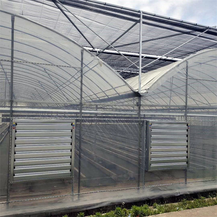 Inner shading system green houses agriculture commercial multi span greenhouse for high wind