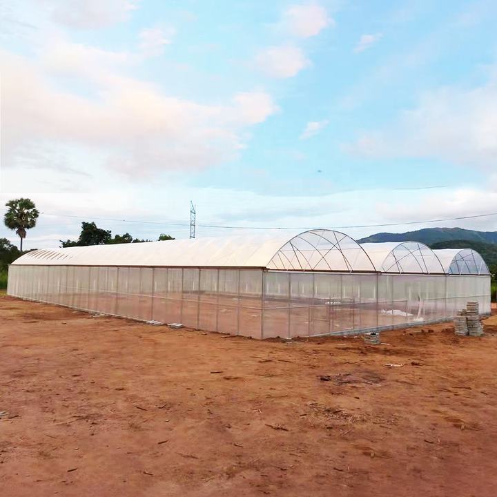 Large Tomato Green House Metal Frame Poly Tunnel Greenhouse Equipment for Agriculture