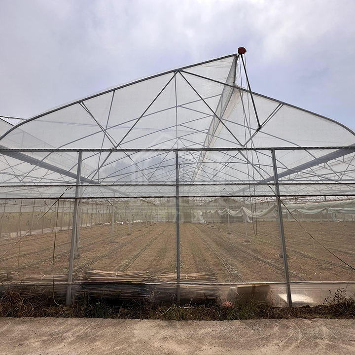 Large agricultural green house kit polytunnel hothouse tropical sawtooth tunnel greenhouses for plants Bulk Manufacturing