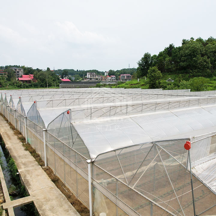 Large agricultural green house kit polytunnel hothouse tropical sawtooth tunnel greenhouses for plants Bulk Manufacturing