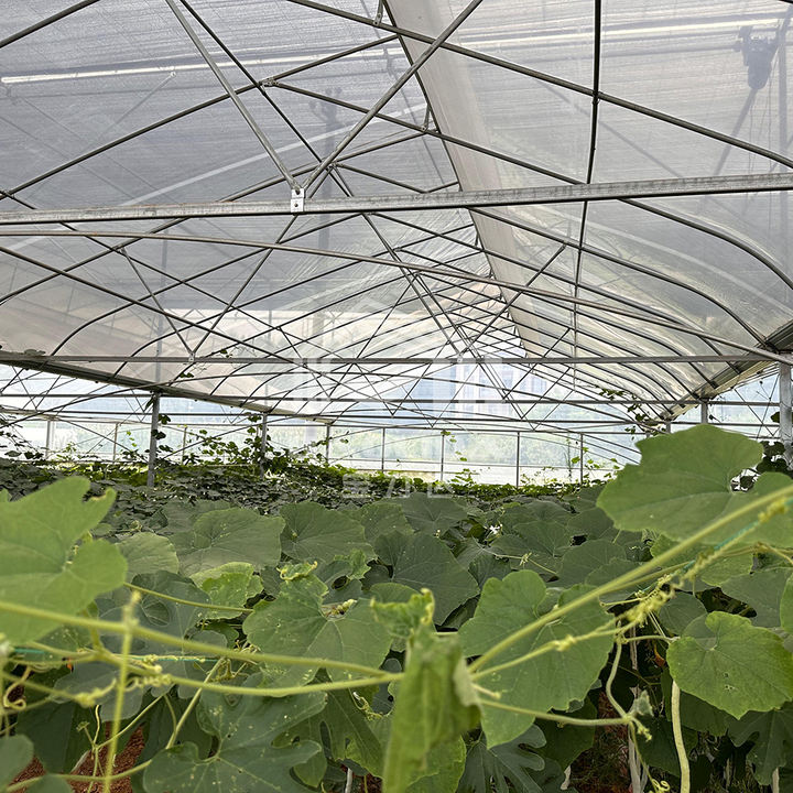 Large agricultural green house kit polytunnel hothouse tropical sawtooth tunnel greenhouses for plants Bulk Manufacturing
