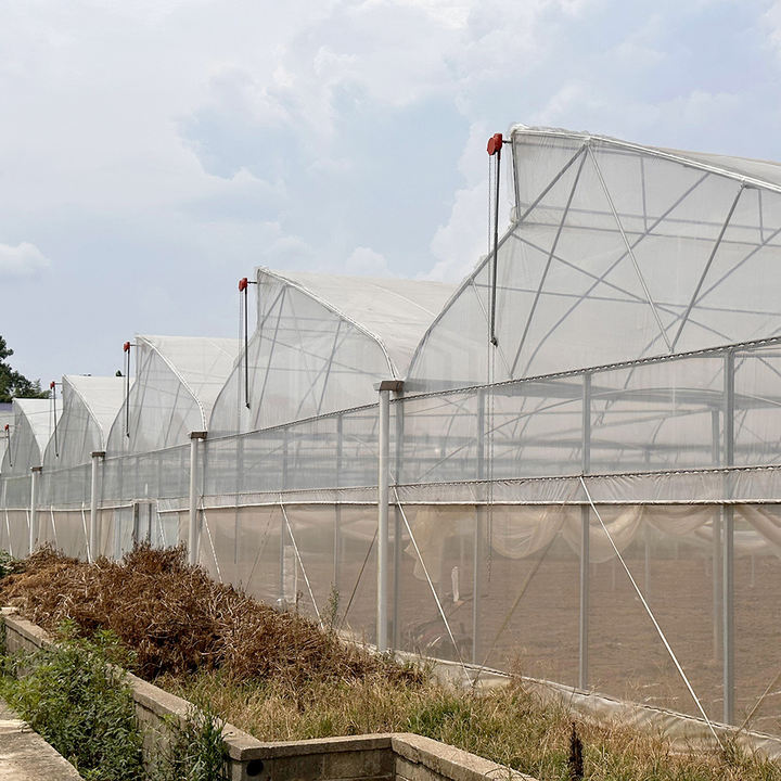 Large agricultural green house kit polytunnel hothouse tropical sawtooth tunnel greenhouses for plants Bulk Manufacturing