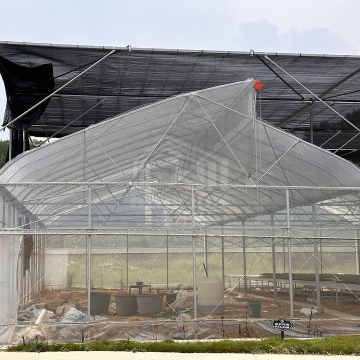 Large agricultural green house kit polytunnel hothouse tropical sawtooth tunnel greenhouses for plants Bulk Manufacturing