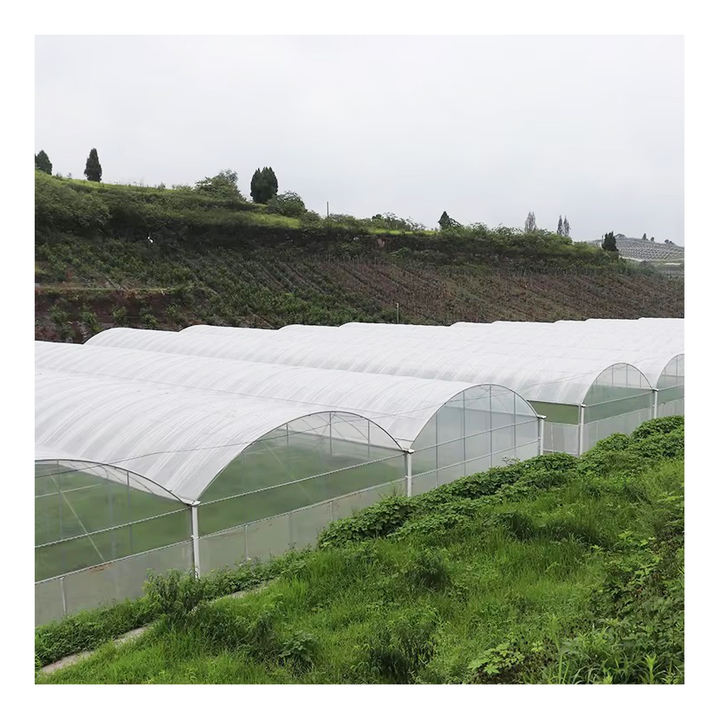 Large multispan agricultural greenhouse tunnel side vent round arch multispan poly greenhouse