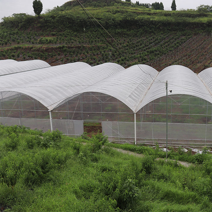 Large multispan agricultural greenhouse tunnel side vent round arch multispan poly greenhouse