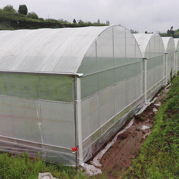 Large multispan agricultural greenhouse tunnel side vent round arch multispan poly greenhouse