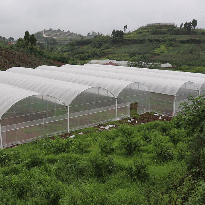 Large multispan agricultural greenhouse tunnel side vent round arch multispan poly greenhouse