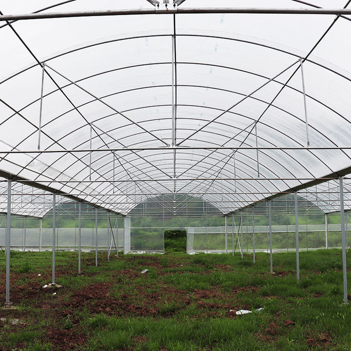 Large multispan agricultural greenhouse tunnel side vent round arch multispan poly greenhouse