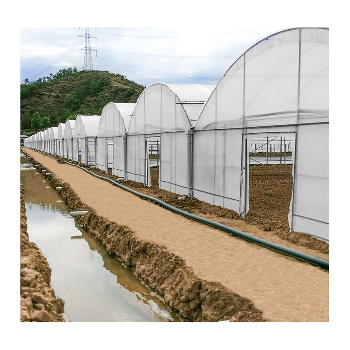 Low Cost Large Commercial Hydroponic Poly Film Arch Tunnel Type Agriculture Vegetable Multi-span Tomato Greenhouse Factory Wholesale Excellence