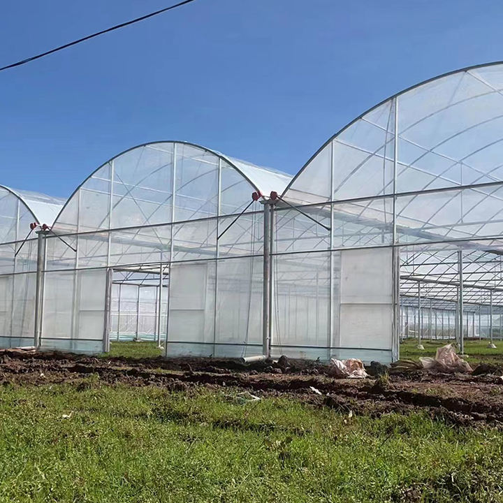 Low Cost Outside Shading System Strawberry Film Multi-span Tunnel Plastic Film Greenhouse For Agricultural Affordable Factory Pricing Supply