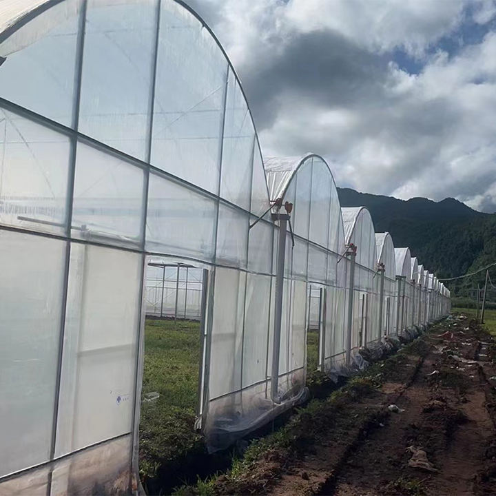 Low Cost Outside Shading System Strawberry Film Multi-span Tunnel Plastic Film Greenhouse For Agricultural Affordable Factory Pricing Supply