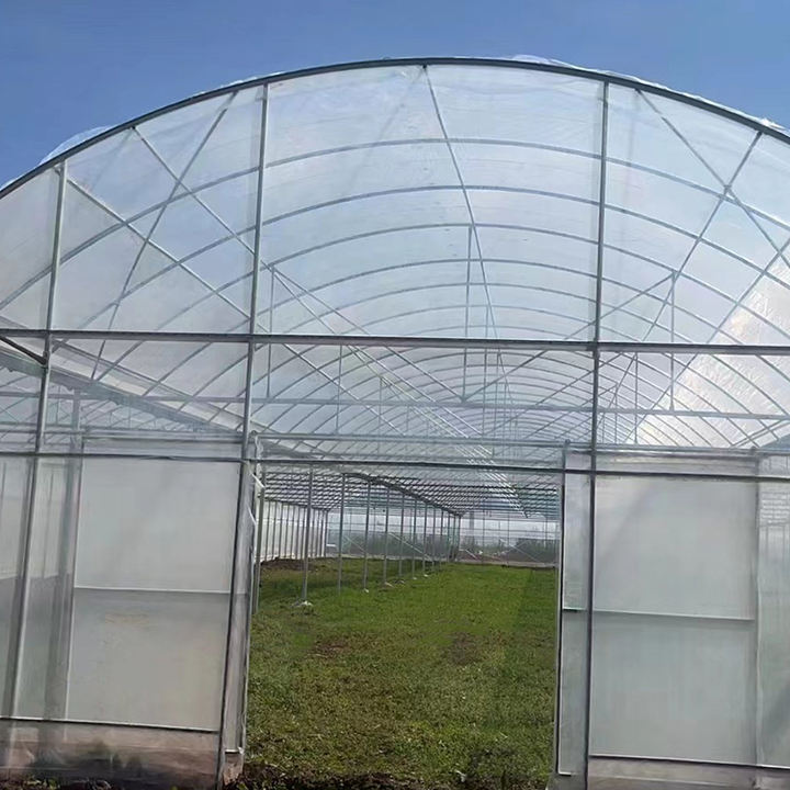 Low Cost Outside Shading System Strawberry Film Multi-span Tunnel Plastic Film Greenhouse For Agricultural Affordable Factory Pricing Supply