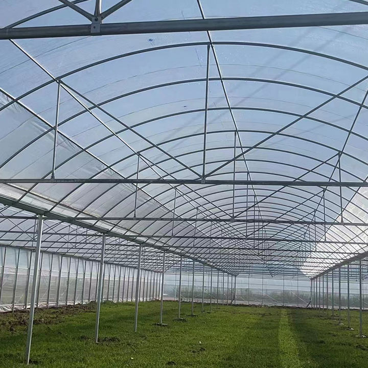 Low Cost Outside Shading System Strawberry Film Multi-span Tunnel Plastic Film Greenhouse For Agricultural Affordable Factory Pricing Supply