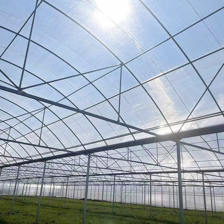 Low Cost Outside Shading System Strawberry Film Multi-span Tunnel Plastic Film Greenhouse For Agricultural Affordable Factory Pricing Supply